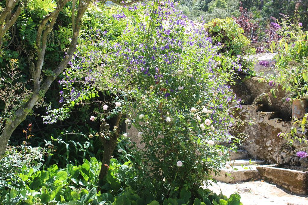 Hotel Quinta De Sao Tadeu Sintra Exterior foto